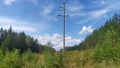 A clearing was cut in the forest and a high-voltage power line was placed on it on concrete poles. Young trees have grown on the c Royalty Free Stock Photo