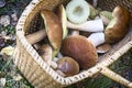 Various mushrooms in a large wicker basket .