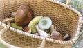 Various mushrooms in a large wicker basket .