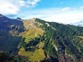 Clearly delineated and nicely visible height limit of vegetation between alpine pastures and coniferous forest on the Werdenberg Royalty Free Stock Photo