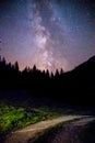 Clearly milky way galaxy at dark night, silhouette of trees Royalty Free Stock Photo