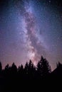 Clearly milky way galaxy at dark night, silhouette of trees Royalty Free Stock Photo