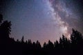 Clearly milky way galaxy at dark night, silhouette of trees Royalty Free Stock Photo