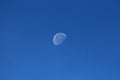 Clearly visible picture of Waning gibbous Moon phase on clear blue sky background taken early in the morning Royalty Free Stock Photo