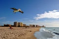 Clearwater Beach Florida Royalty Free Stock Photo