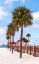 Clearwater Beach, Florida, USA 11/6/19 Palm trees on the beach alongside Pier 60 Royalty Free Stock Photo