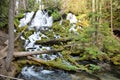 Clearwater Falls, Oregon, Gushes Down on Mossy Green Logs in Stream