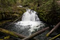 Clearwater Falls in Oregon, in Umpqua National Forest