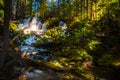 Clearwater Falls Umpqua National Forest