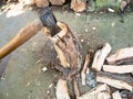 Cleaver ax in stump near chopped logs in backyard