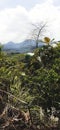 cleft mountain in Renah Kayu Embun Village