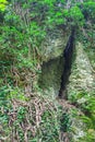 Cleft in the rock and tree roots. Royalty Free Stock Photo