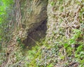 Cleft in the rock and tree roots. Royalty Free Stock Photo