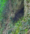 Cleft in the rock and tree roots. Royalty Free Stock Photo
