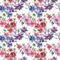 Clematis bouquet floral botanical flowers. Watercolor background illustration set. Seamless background pattern. Royalty Free Stock Photo