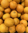 Clementine, Citrus clementina, hybrid fruit Royalty Free Stock Photo