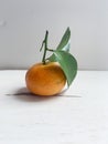 Clementine, a citrus fruit on white background