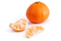 Clementine Orange - Tangerine