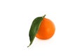 Clementine, tangerine or mandarin orange fruit Royalty Free Stock Photo