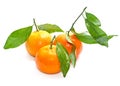 Clementines