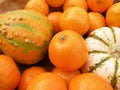Clementines and decorative pumpkins Royalty Free Stock Photo