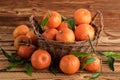 Clementines or mandarines organic fruits on a old wood