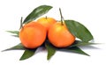 Clementines with segments with leaves