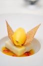 Clementines sorbet with white chocolate mousse Royalty Free Stock Photo