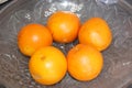 Clementines - View Sight of top