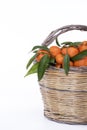 Clementines on wicker basket