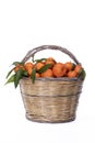 Clementines on wicker basket