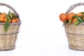 Clementines on wicker basket