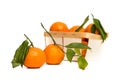 Clementines in a wooden box at white background Royalty Free Stock Photo