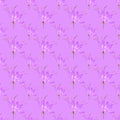 Cleome, spider flower. Illustration, texture of flowers. Seamless pattern for continuous replication. Floral background, photo