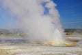 Clepsydra Geyser located in the Fountain Paint Pot area of Yellowstone, national park, Wyoming, Royalty Free Stock Photo