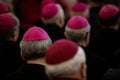 Clerics in the amaranth zucchetto praying during the mass in the chapel Royalty Free Stock Photo