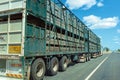 Road Train Transporting Cattle