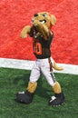 Cleveland Browns NFL Mascot Chomps Royalty Free Stock Photo