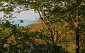 Cleveland Lighthouse from a park Royalty Free Stock Photo