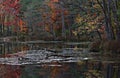 Cleveland MetroParks, Chagrin Reservation, Ohio