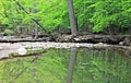 The Cleveland Metroparks