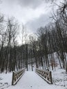 A GORGEOUS SCENE OVER A BRIDGE IN A PARK IN PARMA, OHIO, USA