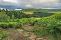 Cleveland Way trail