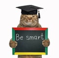 Smart cat with a blackboard