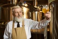 Clever man keeping glass and looking at light beer Royalty Free Stock Photo