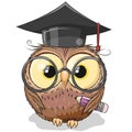 Clever owl with pencil and in graduation cap Royalty Free Stock Photo