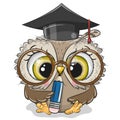 Clever owl with pencil and in graduation cap