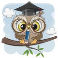 Clever owl with pencil and in graduation cap Royalty Free Stock Photo