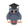 Clever owl with pencil and in graduation cap Royalty Free Stock Photo