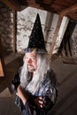 Clever Wizard Royalty Free Stock Photo